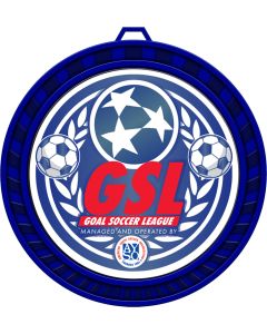 Insert Series - 2~~~ Insert Medal - Blue - Softball