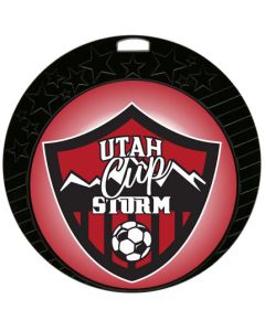 Insert Series - 2~~~ Insert Medal - Soccer