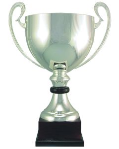 100 Series - Italian Silver Cup