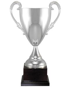 104 Series - Italian Silver Cup