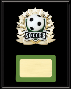 Soccer Plaque - 3-D Ball Emblem