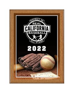Laser Plaque Series - LLB