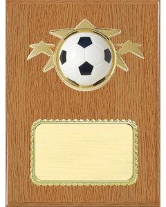Resin Plaque Series - Soccer