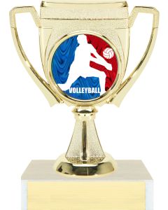 Victory Cup Insert Trophy Series - Volleyball