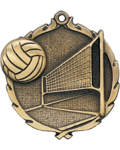 2.5~~~ Wreath Series - Volleyball