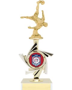 Trophy With Custom Logo and Engraving