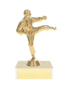 Figure on Base Trophy Series - Karate