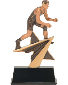 STAR POWER SERIES - WRESTLING