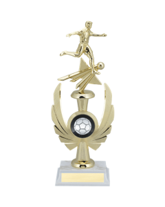 Phoenix Trophy Series - Soccer