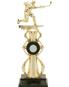 Color Sport Trophy Series - Hockey