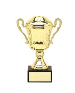 AMC1 SERIES CUP