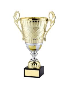 AMC21 SERIES CUP