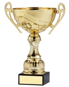 AMC55 SERIES CUP