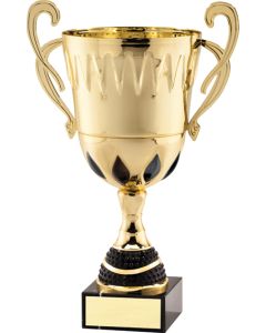 AMC75 SERIES CUP