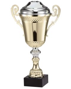 AMC79 Series Cup