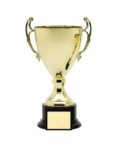 AMC6 SERIES CUP