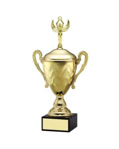 AMC9 SERIES CUP