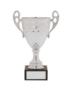 AW529 SERIES CUP