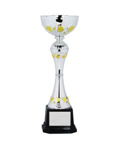Silver & Gold Cup