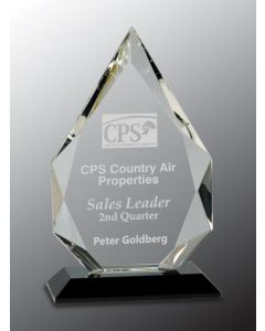 PREMIER CRYSTAL AWARD