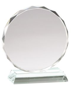 GLASS PAPERWEIGHT AWARD