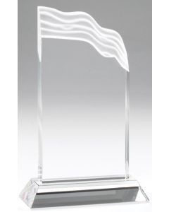 CLEAR CRYSTAL AWARD