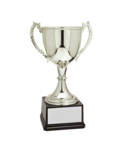 CZC600 Series - Full-Metal Cup Silver
