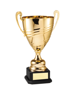 DTC51 SERIES CUP