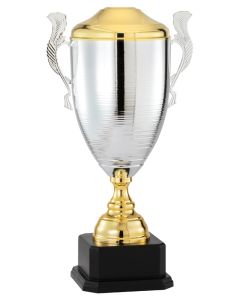 ITALIAN CUP GOLD/SILVER ANGLE