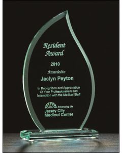 FLAME SERIES GLASS AWARD