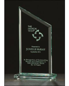 ZENITH SERIES GLASS AWARD