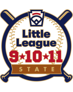 9-10-11 Year Old Baseball Pin Series - State - New Logo