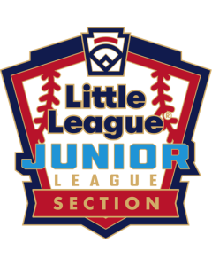 Junior League Baseball Pin Series - Section - New Logo