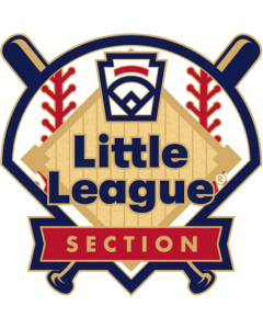 Little League Baseball Tournament Pin Series - Section - New Logo