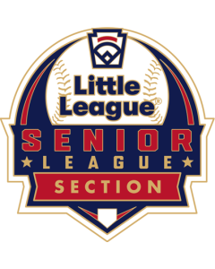 Senior League Baseball Pin Series - Section - New Logo