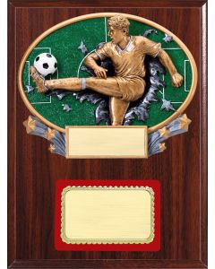 Resin Plaque Series - Soccer, M