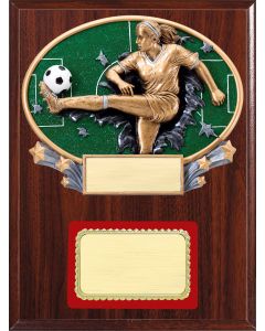 Resin Plaque Series - Soccer, F