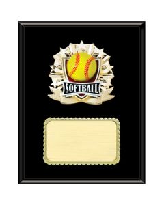 Resin Plaque Series - softball  7~~~x9~~~