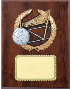 Resin Plaque Series - Volleyball