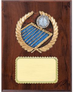 Resin Plaque Series - Swimming