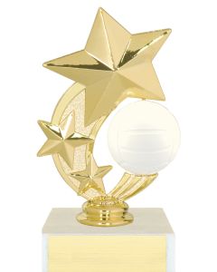 3 Star Spinner Trophy Series - Volleyball