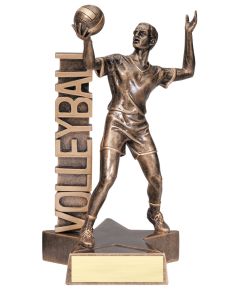 BILLBOARD RESIN SERIES - VOLLEYBALL, M