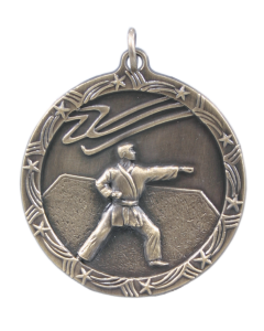 Shooting Star Series - Karate