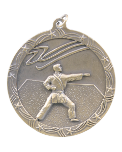 Shooting Star Series - Karate