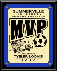 VL300 SERIES - Soccer