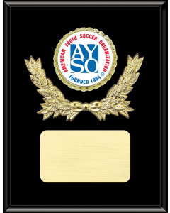 Mylar Plaque Mount Series - 2~~~ Insert - Cheer