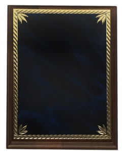 Plaque Award - Laser Blue Marble