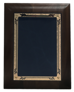 Plaque Award - Laser - Blue Marble - Beveled